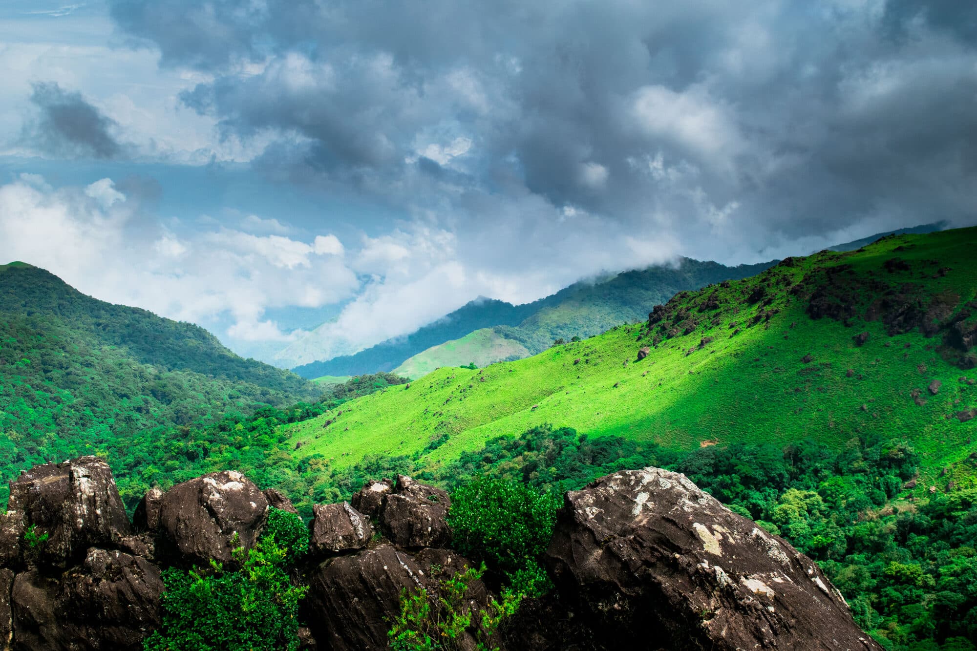 Misty coffee hills of Coorg, Karnataka