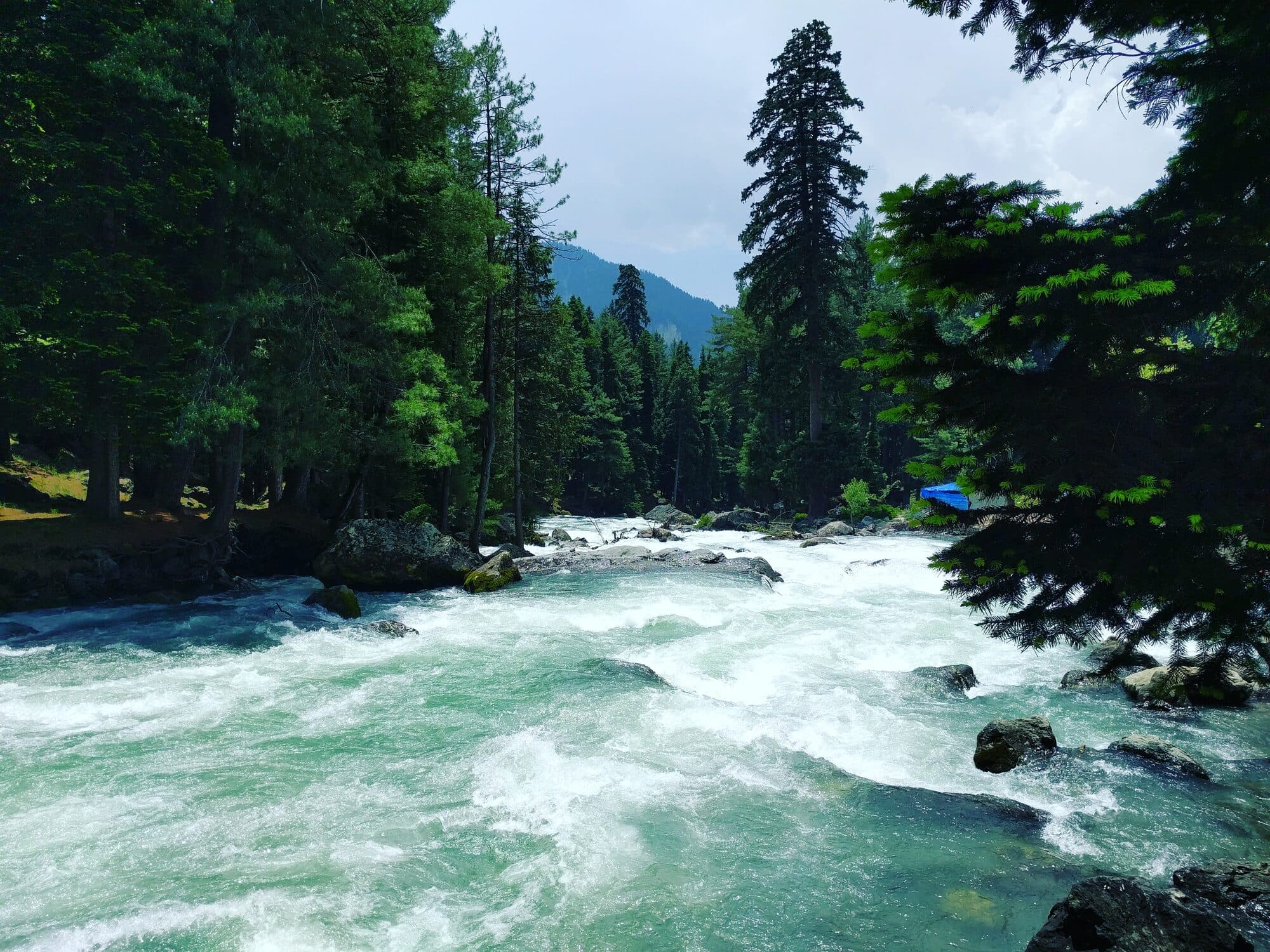 Lidder River valley near Pahalgam, Kashmir