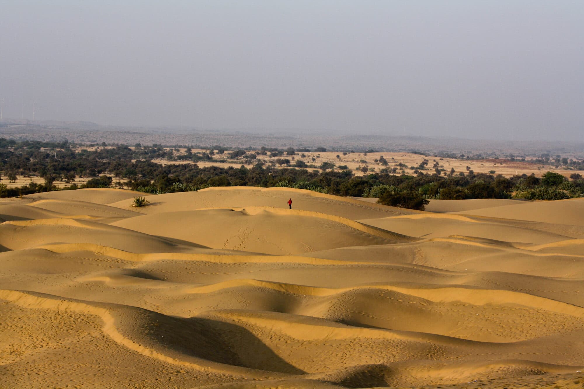 Golden dunes of the Thar Desert, Rajasthan