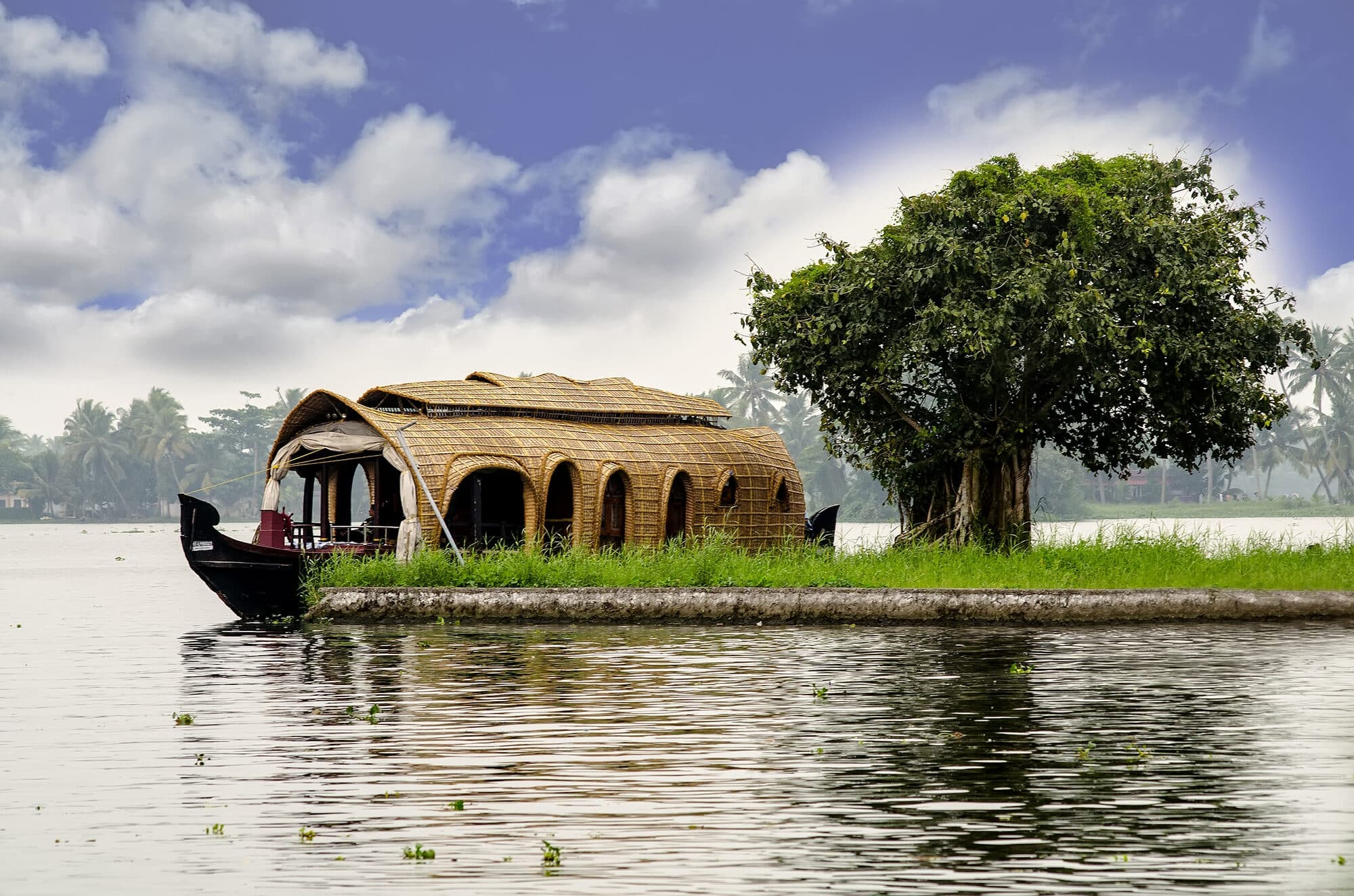 Houseboat cruising through Alleppey backwaters